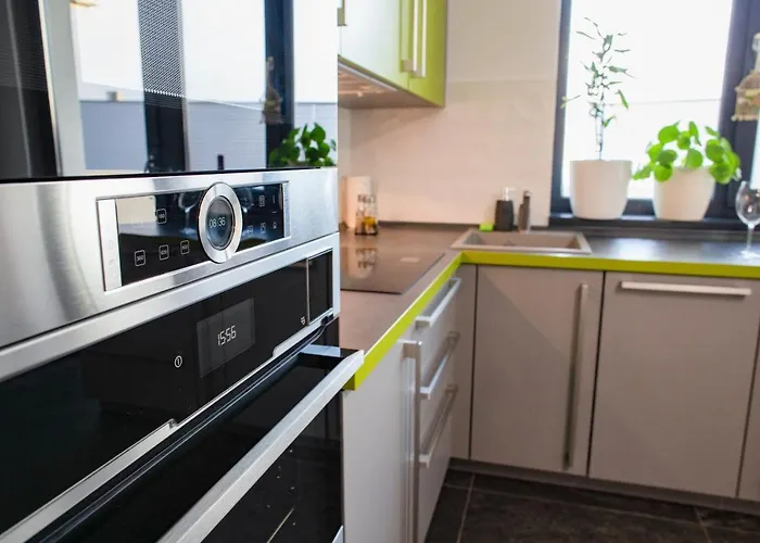 Bio Timisoara 公寓 *