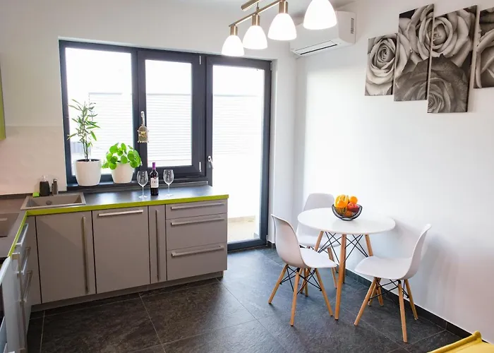 Bio Timisoara 公寓 *